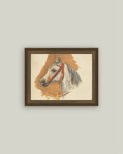 Load image into Gallery viewer, A Horse's Head with Red Bridle 7x5
