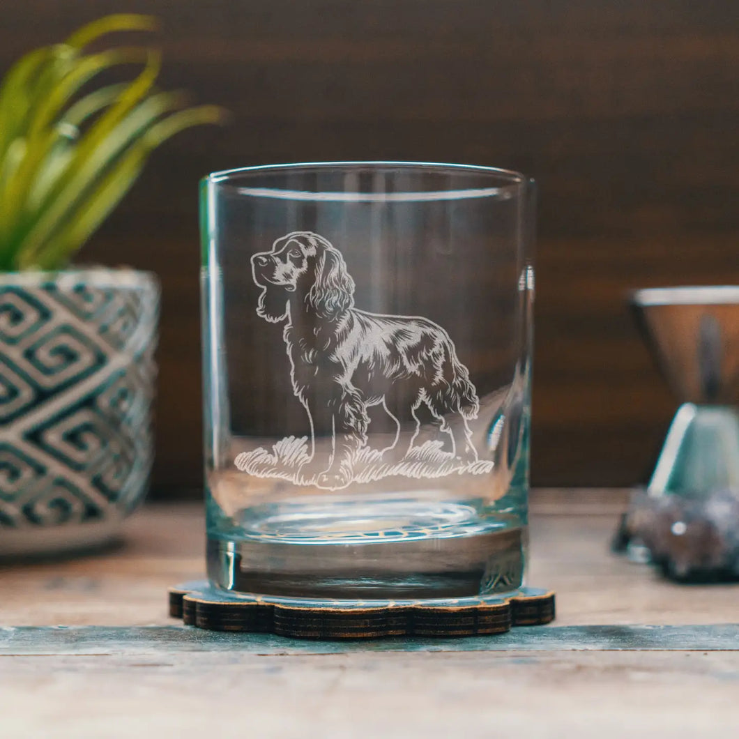 Boykin Spaniel Dog Breed Old Fashioned Glass 12 oz.