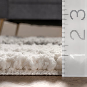 4x6 Lydia High Low Modern Soft Shaggy Area Rug