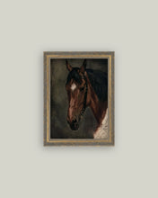 Load image into Gallery viewer, Horse Portrait Framed Antique Art (Various Sizes)
