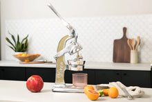 Load image into Gallery viewer, Mexican Citrus Juicer
