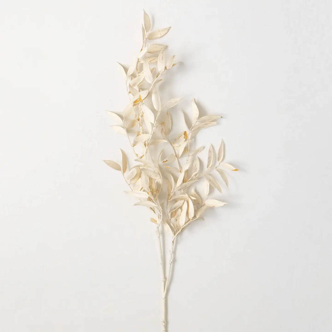 Cream Ruscus Branch
