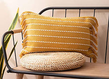 Load image into Gallery viewer, Stitch Line Woven Fringe Cotton Decorative Throw Pillow 20" W x 20" L [Online Only]
