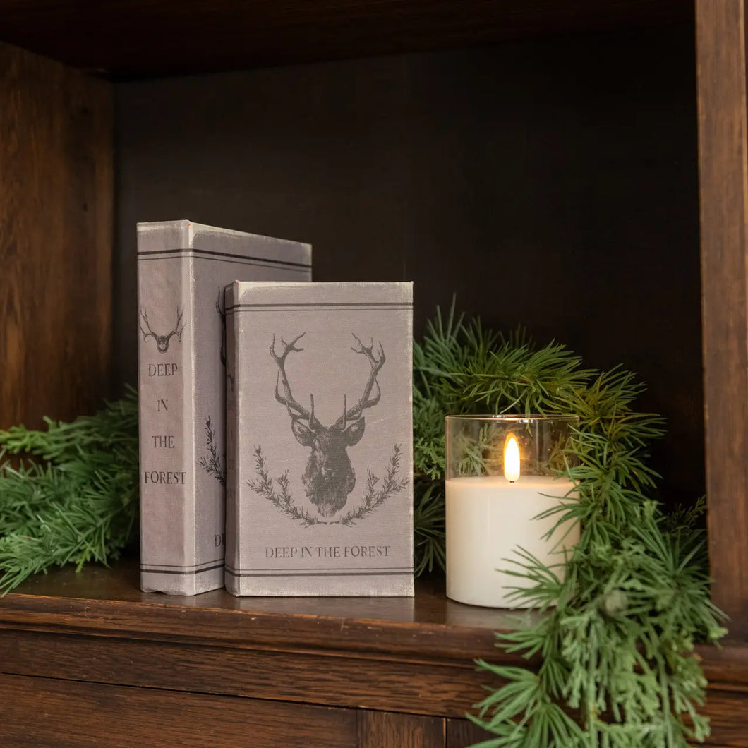 Deep in the Forest Journal 7