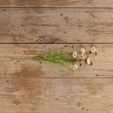 Load image into Gallery viewer, 22&quot; Beige Wildflower Spray
