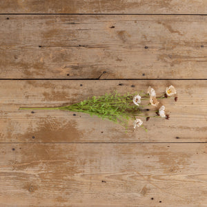 22" Beige Wildflower Spray