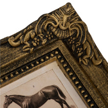 Load image into Gallery viewer, Horse Breeds Framed Wall Art 6.5 x 8.5
