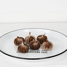 Load image into Gallery viewer, Velvet Brown Mini Pumpkins
