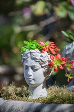 Load image into Gallery viewer, Greek Style Cement Head Planter [Online Only]
