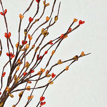 Load image into Gallery viewer, Pips Spray Pumpkin Spice 20 Inch
