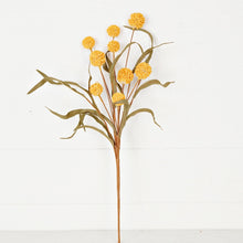 Load image into Gallery viewer, Yellow Country Thistle Berry with Leaves
