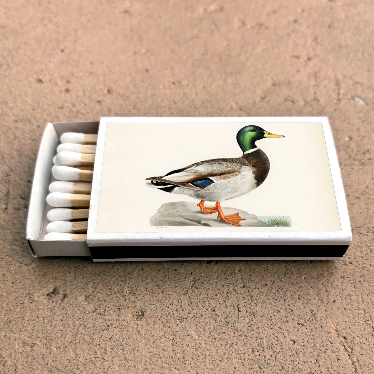 Mallard Duck Matchbox – Smith & York Co.
