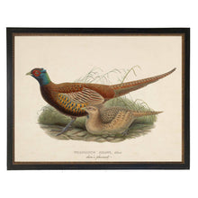 Load image into Gallery viewer, Vintage Shaws Pheasant Bookplate Framed Print 10x8
