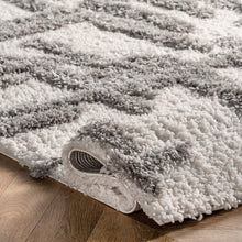Load image into Gallery viewer, 4x6 Lydia High Low Modern Soft Shaggy Area Rug
