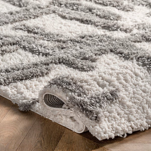 4x6 Lydia High Low Modern Soft Shaggy Area Rug