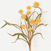 Load image into Gallery viewer, Yellow Country Thistle Berry with Leaves
