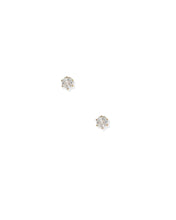 Load image into Gallery viewer, Screwback Stud Earrings - Helen Gold
