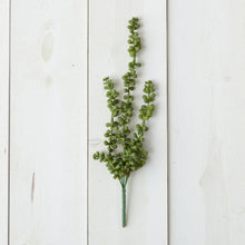 Load image into Gallery viewer, String of Pearls Pick
