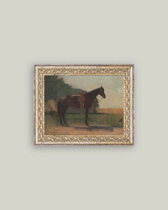 Saddled Horse 10x8 Framed Print