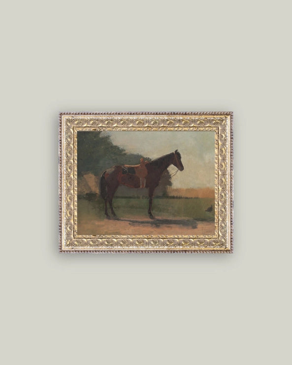Saddled Horse 10x8 Framed Print