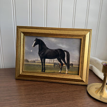 Load image into Gallery viewer, Vintage Style Black Standing Horse in Landscape Art Print 4x6
