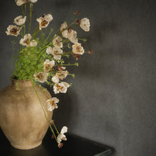 Load image into Gallery viewer, 22&quot; Beige Wildflower Spray
