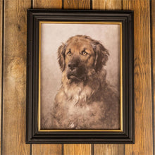 Load image into Gallery viewer, Framed Vintage Leonberger Dog Portrait
