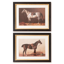 Load image into Gallery viewer, Saddled Riding Horses Print (2 Styles)
