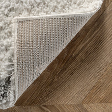 Load image into Gallery viewer, 4x6 Lydia High Low Modern Soft Shaggy Area Rug
