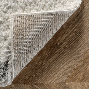 4x6 Lydia High Low Modern Soft Shaggy Area Rug