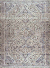 Load image into Gallery viewer, Barny Tan Washable Area Rug [Online Only]
