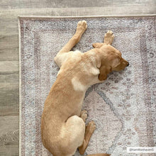 Load image into Gallery viewer, Analu Non-Slip Washable Rug [Online Only]

