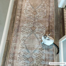 Load image into Gallery viewer, Analu Non-Slip Washable Rug [Online Only]

