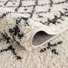 Load image into Gallery viewer, Godalming Plush Area Rug [Online Only]
