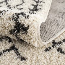 Load image into Gallery viewer, Godalming Plush Area Rug [Online Only]
