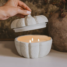 Load image into Gallery viewer, Cashmere and Vanilla Soy Candle - Cement Pumpkin Jar - 13.5 oz [Online Only]
