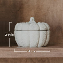Load image into Gallery viewer, Cashmere and Vanilla Soy Candle - Cement Pumpkin Jar - 13.5 oz [Online Only]
