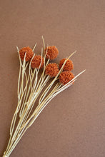 Load image into Gallery viewer, Bundle of 6 Artificial Orange Ball Flowers
