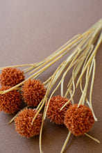 Load image into Gallery viewer, Bundle of 6 Artificial Orange Ball Flowers
