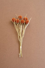 Load image into Gallery viewer, Bundle of 6 Artificial Orange Ball Flowers
