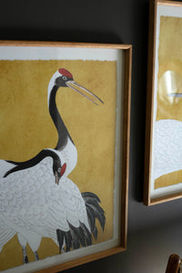 Set of 2 Framed Black, White and Red Herons Prints Under Glass