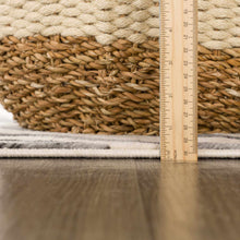Load image into Gallery viewer, Gray Ecorse Zebra Print Area Rug [Online Only]

