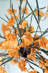 Peach Botanica Stem (#3585)