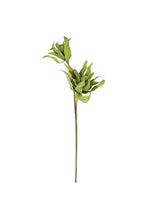 Load image into Gallery viewer, Spiky Green Botanica Stem (#2654)
