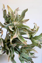 Load image into Gallery viewer, Spiky Green Botanica Stem (#2654)
