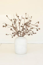 Load image into Gallery viewer, Whitewashed Dried Botanica Stem #2863
