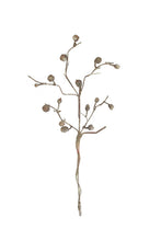 Load image into Gallery viewer, Whitewashed Dried Botanica Stem #2863
