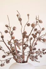 Load image into Gallery viewer, Whitewashed Dried Botanica Stem #2863
