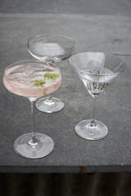 Load image into Gallery viewer, Canvas Home Champagne Coupe Stemware Set [Online Only]
