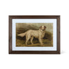 Heritage Hounds Framed Dog Wall Art (4 Styles)